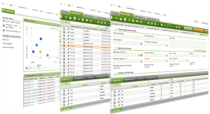 Screenshots of the Openbravo ERP web interface